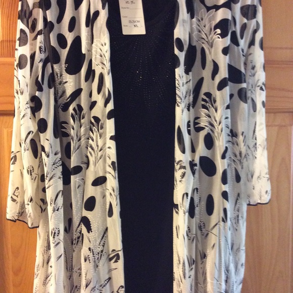 Sheer jacket with attached Shell - Picture 4 of 5